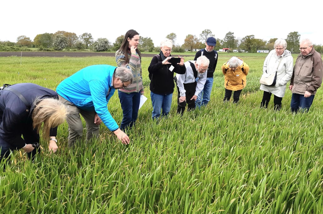 Begutachtung behandelter Parzellen durch Exkursionsteilnehmer/innen. Foto M. Reimann.