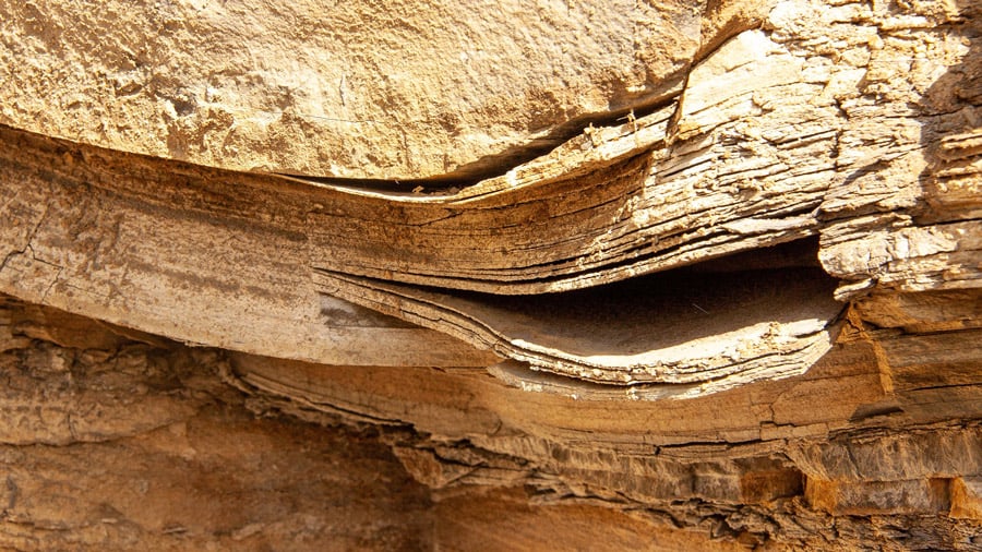 Exkursion Ölschiefer Foto 5