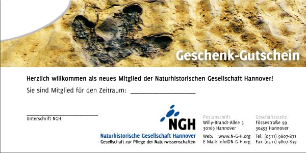 Gutschein-Motiv 4 „Saurierfährten“