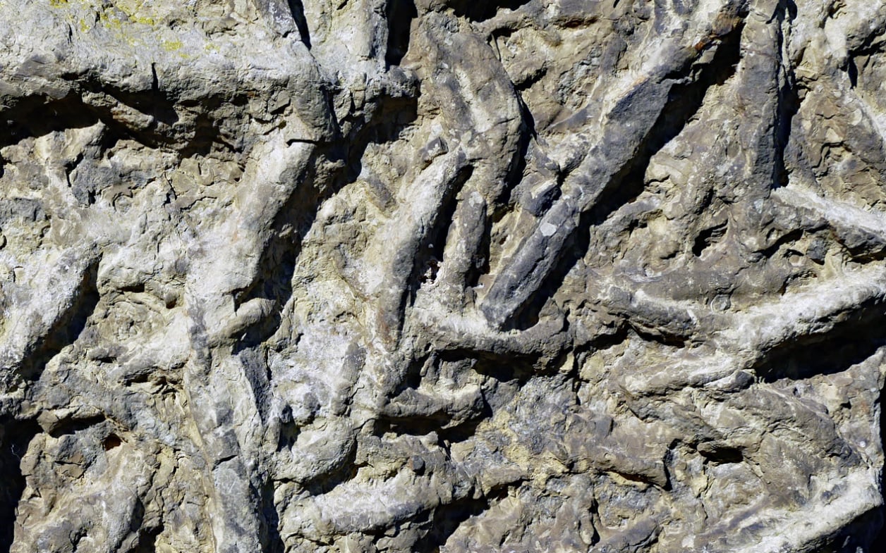 „Rankensteine“: ein außergewöhnlicher Naturwerkstein an der Fassade einer Villa in Hannover-Kleefeld
